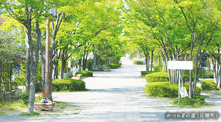 かつらぎの道（広陵町）