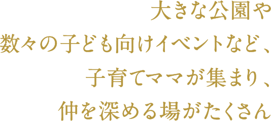 大きな公園や数々の子ども向けイベントなど、子育てママが集まり、仲を深める場がたくさん